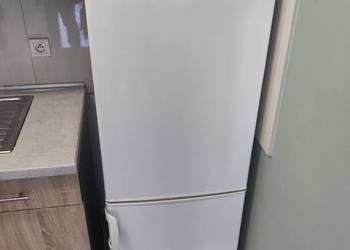 Lodówko zamrażarka Amica