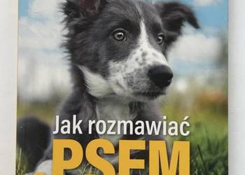 Jak rozmawiać z psem poradnik psi język komunikacja pies 3/2023