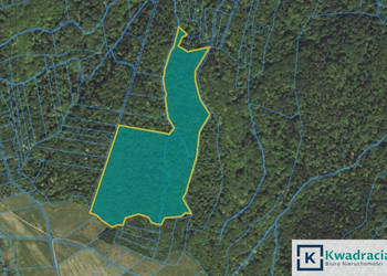 Działka do sprzedania Stary Żmigród 96100m2