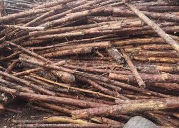 Sprzedam drewno opałowe