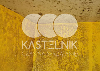 Odgrzybianie ścian Żnin - Kastelnik - Usuwanie grzybów i pleśni