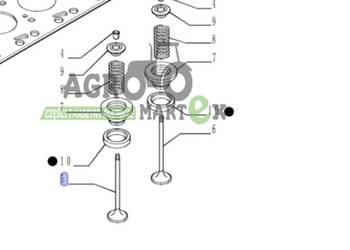4895051, 6901086 ZAWÓR UKŁADU WYDECHOWEGO SILNIKA CNH