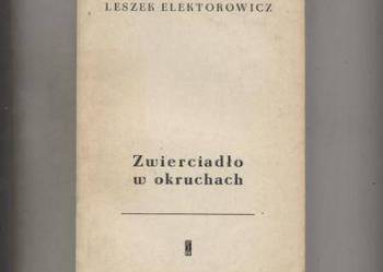 Zwierciadło w okruchach  Szkice o powieści amerykańskie