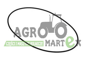 828/00340, 828-00340 USZCZELKA HAMULCA JCB