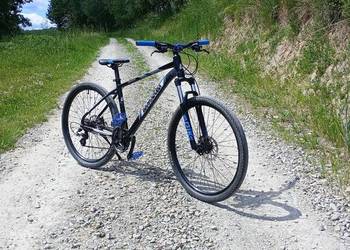 Rower Hardtail Barracuda Rock