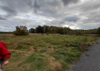 Sprzedam ziemię rolna 7000m2