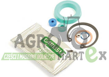 277641A1 ZESTAW NAPRAWCZY CNH