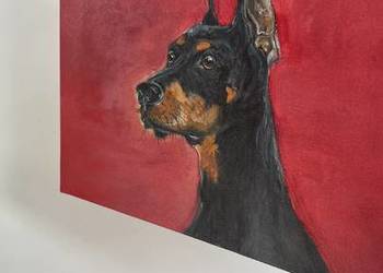 Obraz olejny Doberman 30x40 cm ręcznie malowany