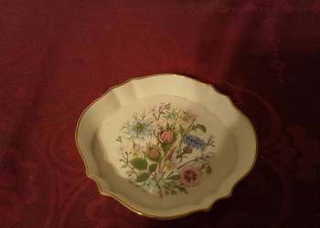 Aynsley wild tudor