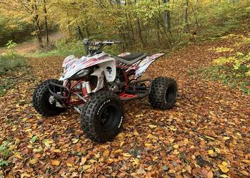 Yamaha Yfz450 Special Edition