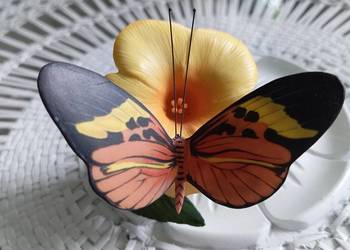Porcelanowy motyl Franklin