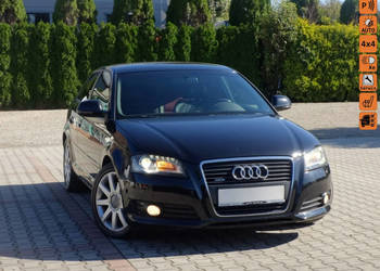 Audi A3 2.0 TDi Lift skóra Quattro 4 x 4 8P (2003-2012)