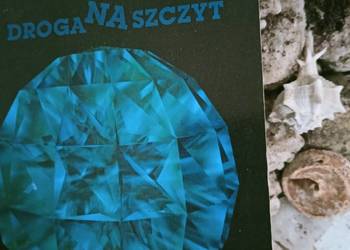 Zig Ziglar książki Droga na szczyt księgarnia internetowa Zig Ziglar książki Droga na szczyt księgarnia internetowa