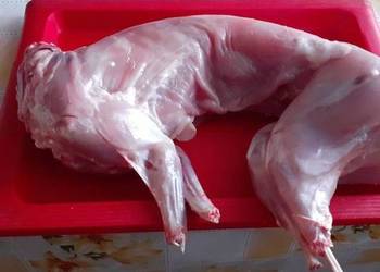 Tusze z królika 35 zł za kg polecam