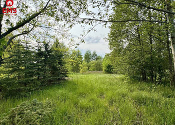 Grunt 2900m2 Kosmaty Borek
