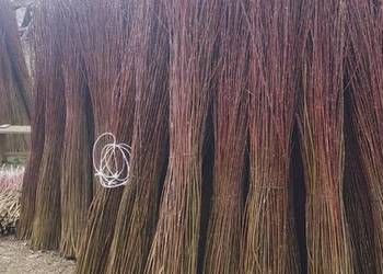 Sprzedam wiklinę sortowaną 1.5-2m