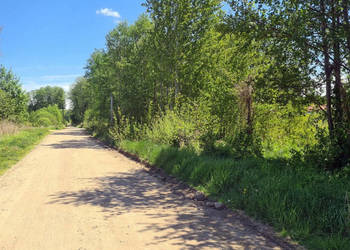 Działka Zaścianki 14263m2