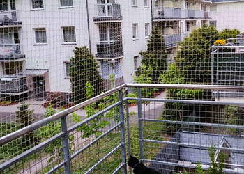 Montowanie siatki na balkon dla kota Warszawa siatki dla kota na balkon