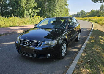 Audi A3 Audi A3 220tyś przebiegu 8P (2003-2012)