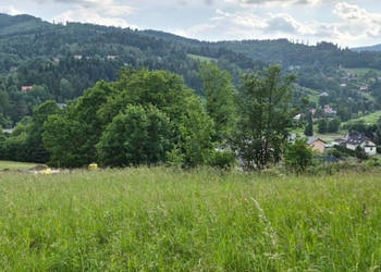 Widokowa działka - odkryj spokój w Beskidach