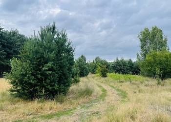 Działka rolno-budowlna 1,57ha dla każdego - ranczo. Zostań rolnikiem.