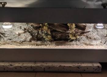 Okazja terrarium dla gekona lamparciego agamy brodatej