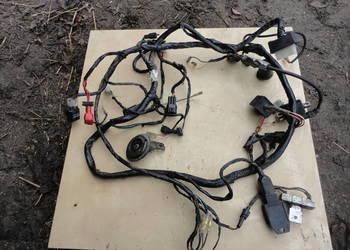 CPI GTR ZIPP AXIS Instalacja wiazka elektryczna 2T zumico ro