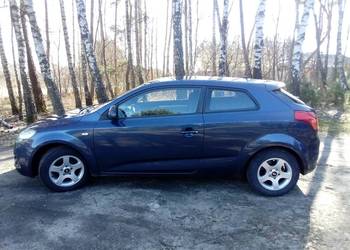 Kia Ceed Pro Ceed 2008 1.6 benzyna Niski przebieg