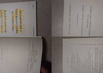 Pierwsze wydanie 1993! Ochrona pracy młodocianych, niski nakład, rarytas PR