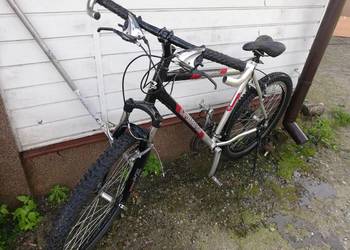 Rower unibike