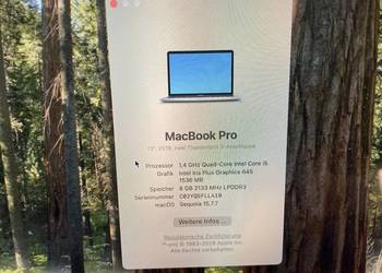 Apple Macbook Pro Retina A2159 13,3 cala