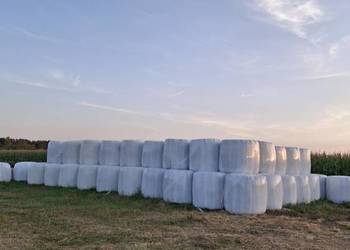 Bele sianokiszonki 3 Pokos