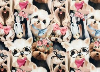 Tkanina obiciowa do pokoju dziecinnego Bajka 61 Wesołe Pieski