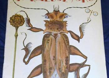 Karaluszysko - Korniej Czukowski