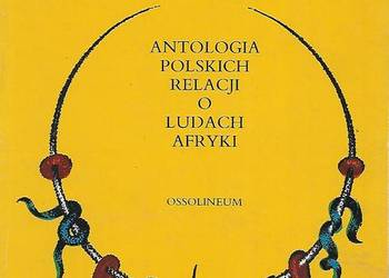 Wśród buszu i czarowników - A. Kuczyński