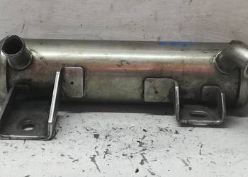 Chłodnica spalin Opel 1.9 CDTI 55202430