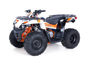 Quad KAYO AU125 cc Koła 8" AUTOMAT