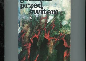 Godzina przed świtem - Waldemar Kotowicz