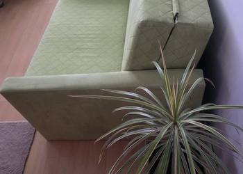 stół i krzesła plus sofa