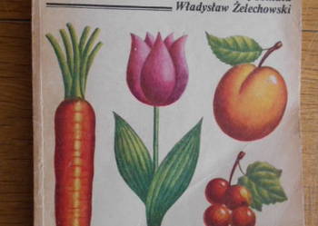 Zaborska, Tomala, Żelechowski - W ogródku przydomowym