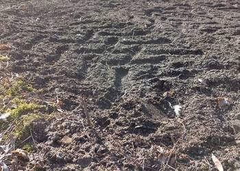 Sprzedam działkę blisko Wrocławia 22 ary Rogoż