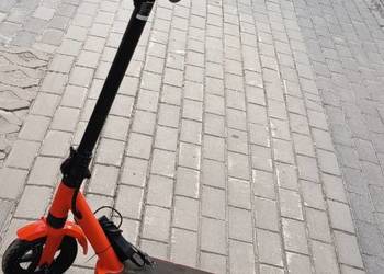 Hulejnoga elektryczna Denver sco-85350