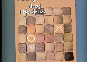 Polityki drogi i bezdroża - Zygmunt Zieliński