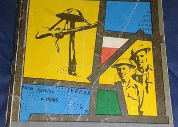 Tułaczka i wojaczka - Lucjan Turowski