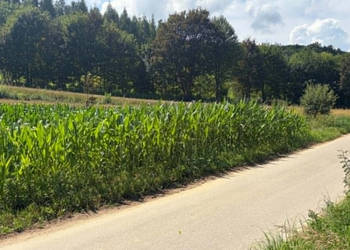 Działka rolna Jaksice Gmina Miechów