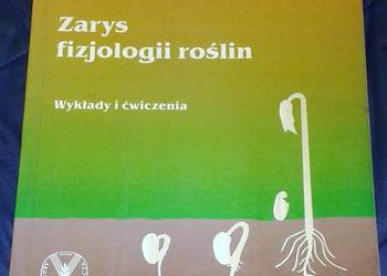 Zarys fizjologii roślin. Wykłady i ćwiczenia - Zenon Krzywański