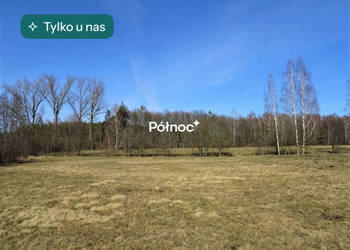 Łąka i las w Cieleśnicy