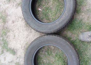 Pirelli p6000 205/55 /16