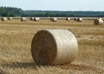 Słoma Żniwa 2026