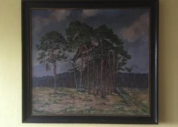 Obraz na płótnie - las - 101x111 cm